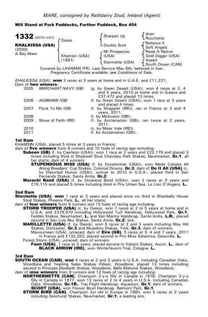 December Mare Sale - Tattersalls