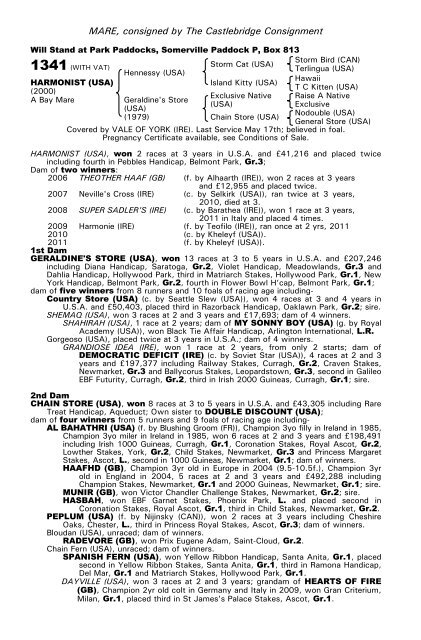 December Mare Sale - Tattersalls