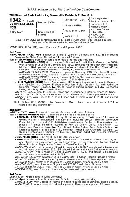 December Mare Sale - Tattersalls