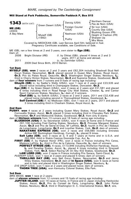 December Mare Sale - Tattersalls