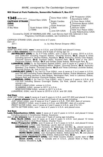 December Mare Sale - Tattersalls