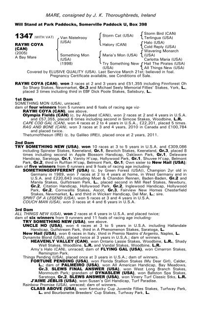 December Mare Sale - Tattersalls