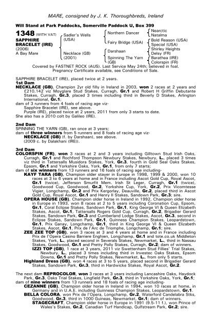 December Mare Sale - Tattersalls