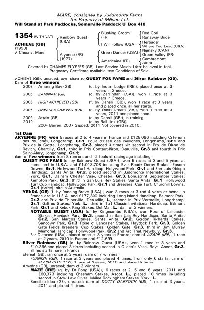 December Mare Sale - Tattersalls