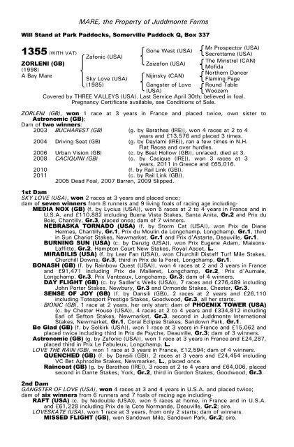 December Mare Sale - Tattersalls