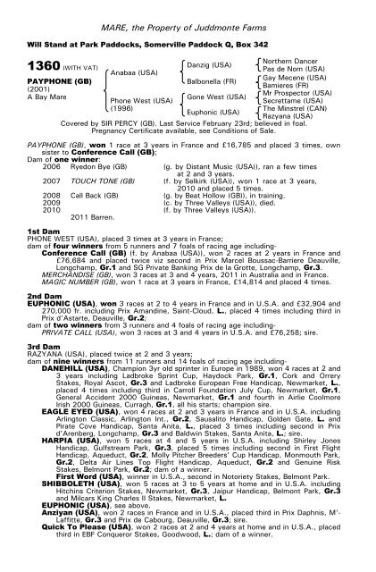 December Mare Sale - Tattersalls