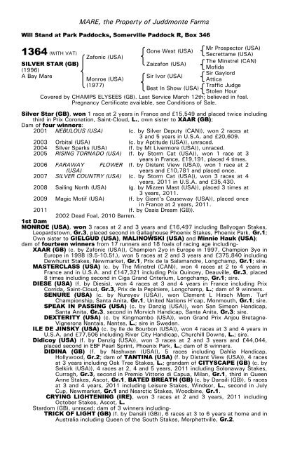 December Mare Sale - Tattersalls