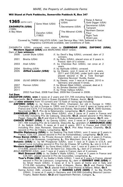 December Mare Sale - Tattersalls