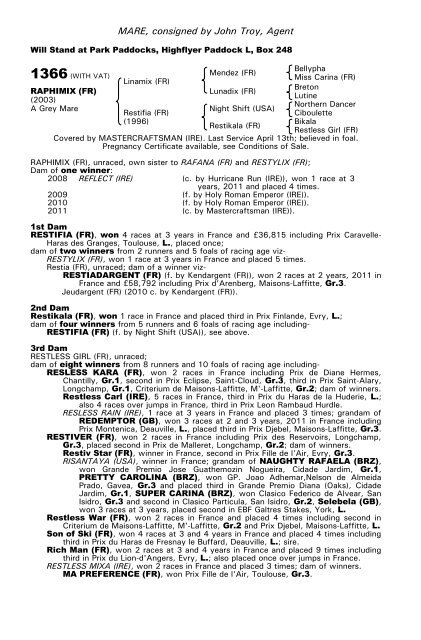 December Mare Sale - Tattersalls