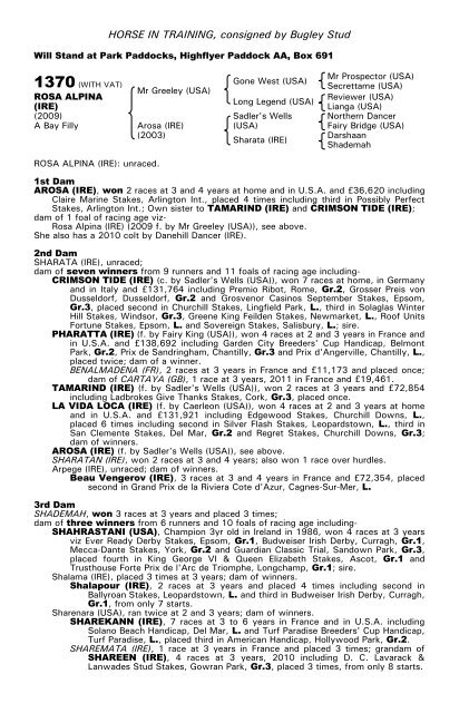 December Mare Sale - Tattersalls