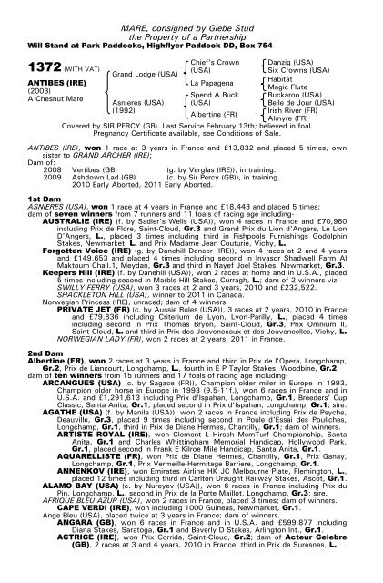 December Mare Sale - Tattersalls