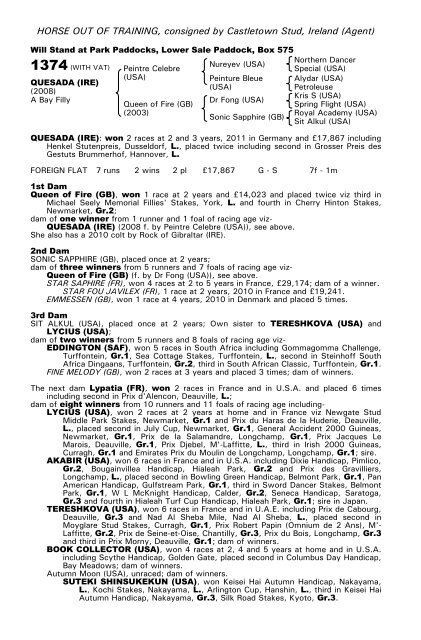 December Mare Sale - Tattersalls