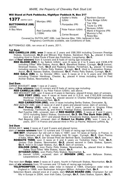 December Mare Sale - Tattersalls