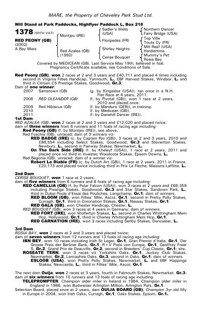 December Mare Sale - Tattersalls