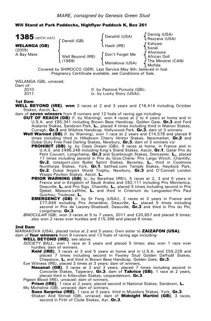 December Mare Sale - Tattersalls