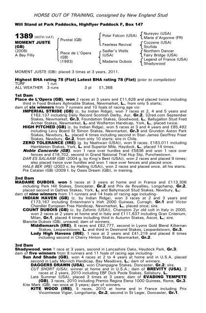 December Mare Sale - Tattersalls