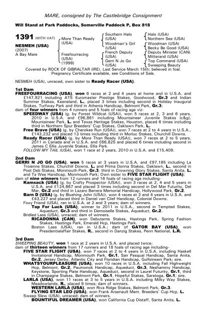 December Mare Sale - Tattersalls