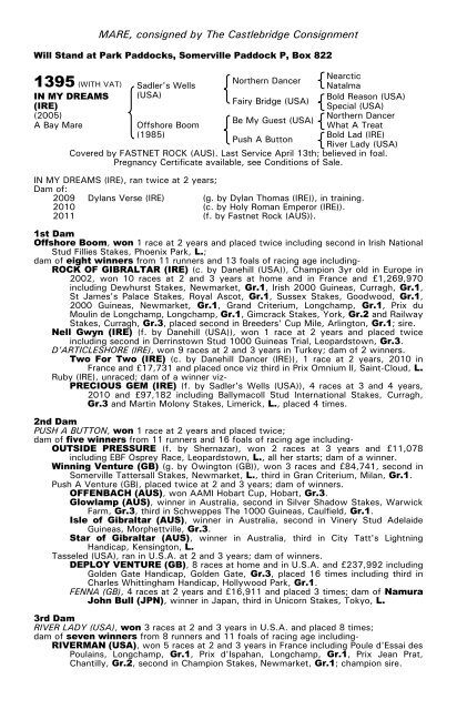 December Mare Sale - Tattersalls