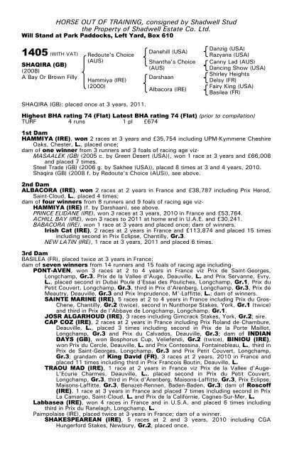 December Mare Sale - Tattersalls