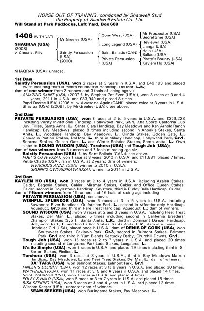 December Mare Sale - Tattersalls