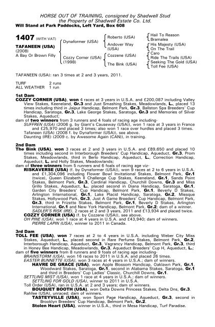 December Mare Sale - Tattersalls