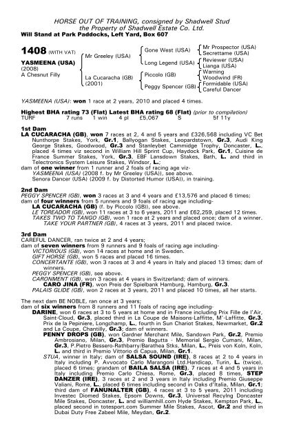 December Mare Sale - Tattersalls