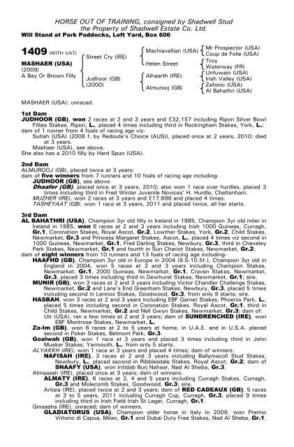 December Mare Sale - Tattersalls