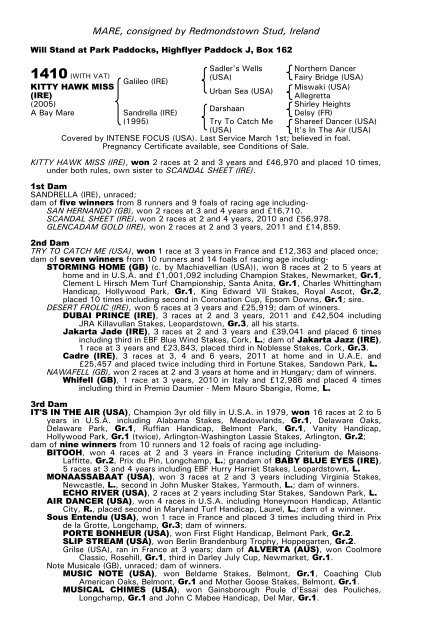 December Mare Sale - Tattersalls