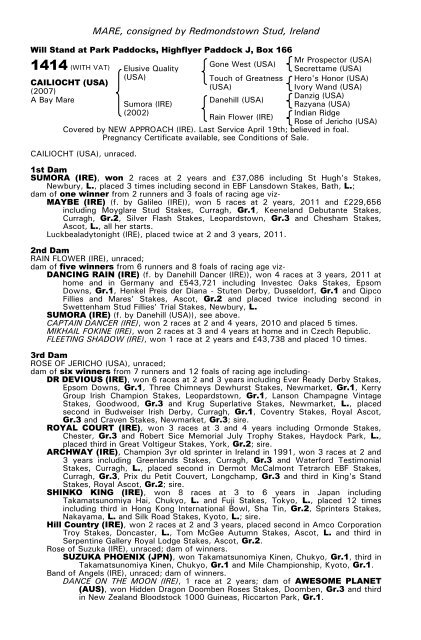 December Mare Sale - Tattersalls