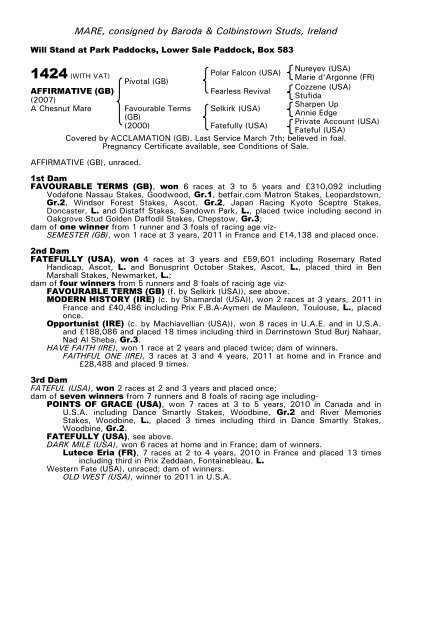 December Mare Sale - Tattersalls