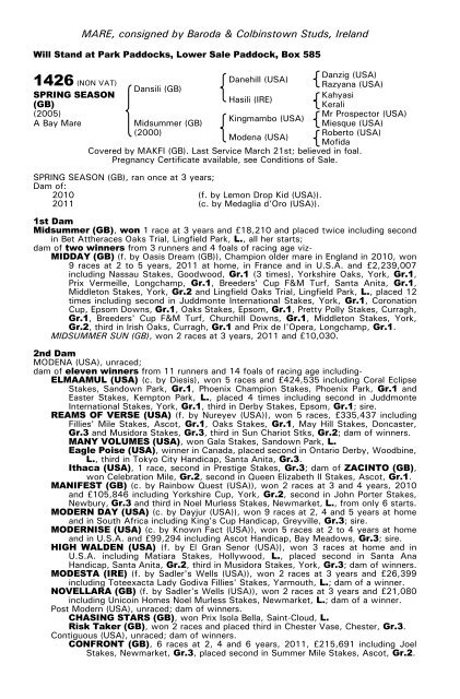 December Mare Sale - Tattersalls