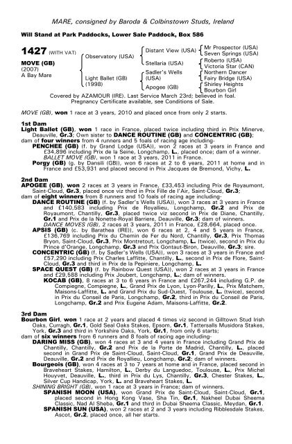 December Mare Sale - Tattersalls