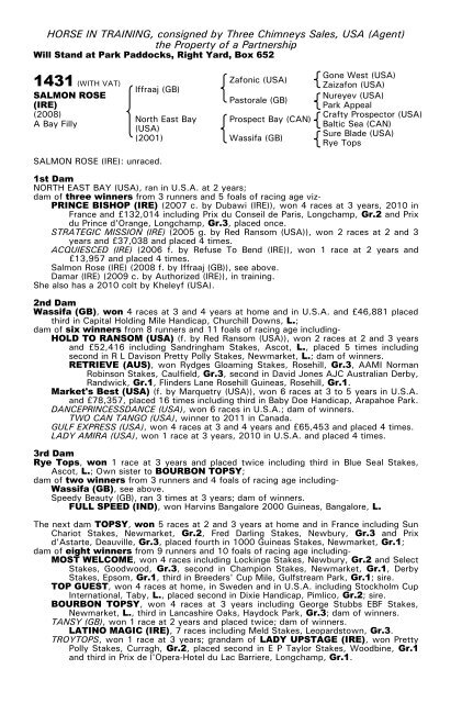 December Mare Sale - Tattersalls