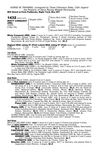 December Mare Sale - Tattersalls