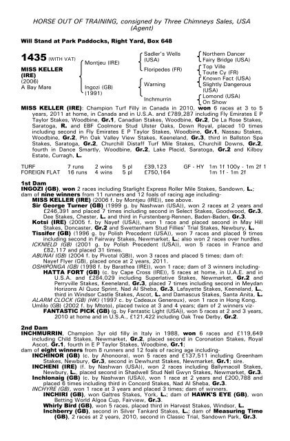 December Mare Sale - Tattersalls