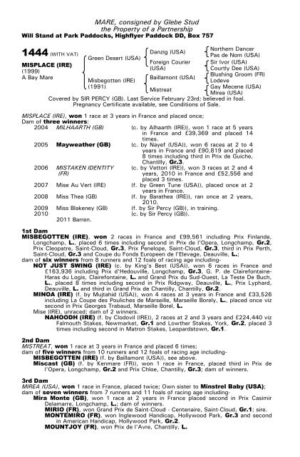 December Mare Sale - Tattersalls