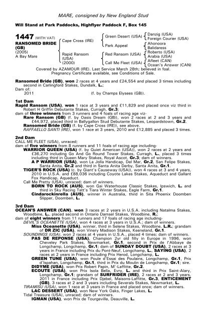 December Mare Sale - Tattersalls