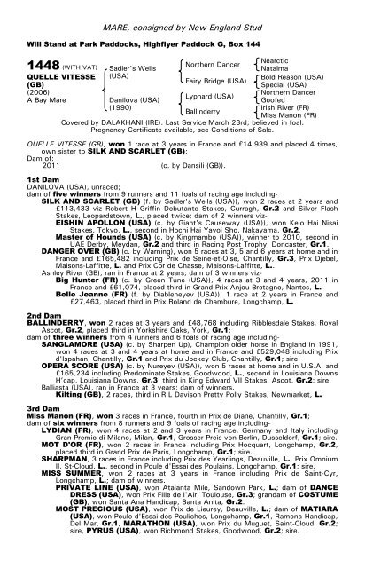 December Mare Sale - Tattersalls