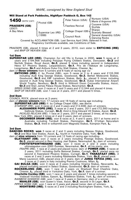 December Mare Sale - Tattersalls