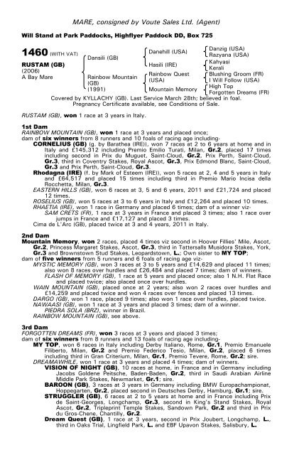 December Mare Sale - Tattersalls