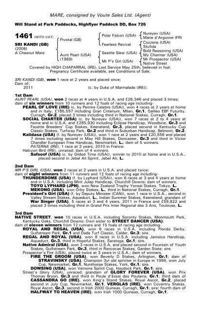 December Mare Sale - Tattersalls