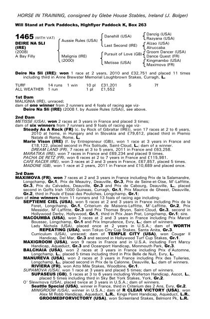 December Mare Sale - Tattersalls