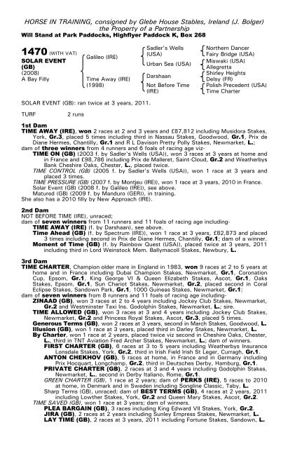 December Mare Sale - Tattersalls