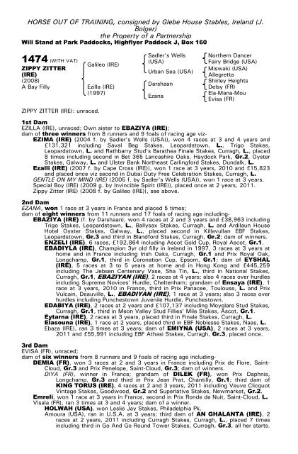 December Mare Sale - Tattersalls