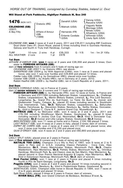 December Mare Sale - Tattersalls