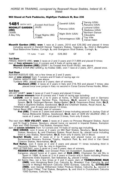 December Mare Sale - Tattersalls