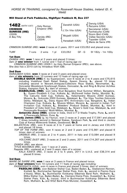 December Mare Sale - Tattersalls