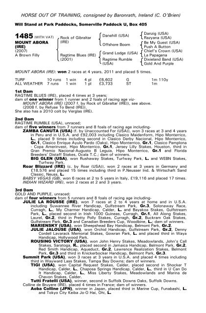 December Mare Sale - Tattersalls