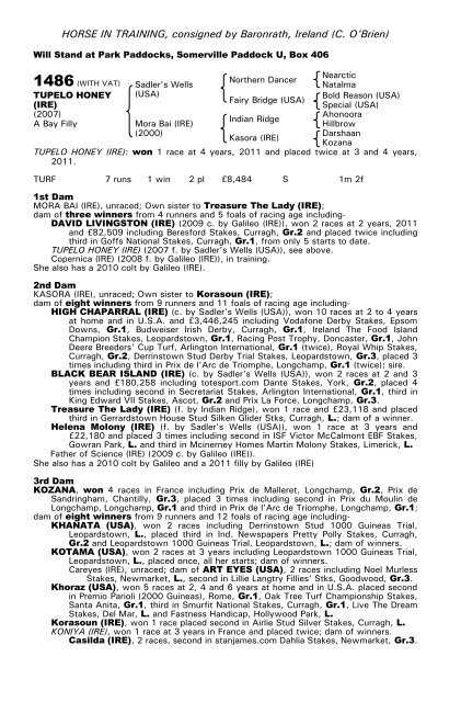 December Mare Sale - Tattersalls