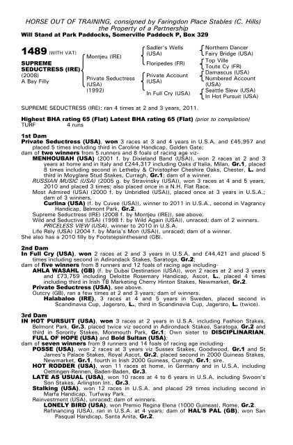 December Mare Sale - Tattersalls